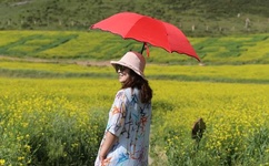 亚洲2卡3卡4卡5卡乱码入口